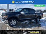 New 2025 Ford F150 XLT w/ Equipment Group 302A MID image 2