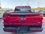 Used 2019 Ford F150 XLT w/ Equipment Group 302A Luxury image 6