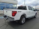 New 2025 Ford F150 XLT w/ Equipment Group 303A High image 3
