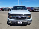 New 2025 Ford F150 XLT w/ Equipment Group 301A Standard image 5