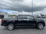 Used 2024 Ford F150 Platinum w/ Equipment Group 703A Plus image 2