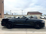Used 2017 Ford Mustang GT Premium w/ Black Accent Package image 3