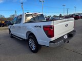 New 2025 Ford F150 XLT w/ Equipment Group 302A MID image 3