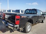 New 2025 Ford F250 XL w/ 360-Degree Camera Package image 3