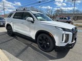 New 2025 Hyundai Palisade XRT image 4