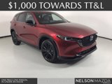View Video