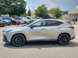 Used 2024 Lexus NX 350 F Sport image 4