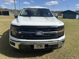 New 2025 Ford F150 XLT image 2