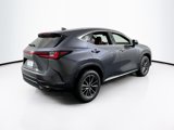 Used 2023 Lexus NX 350 AWD w/ Premium Package image 5