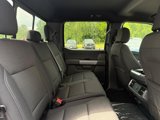 New 2025 Ford F150 XLT w/ Equipment Group 302A MID image 5