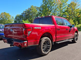 New 2025 Ford F150 XLT w/ Equipment Group 302A MID image 4