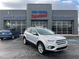 Used 2019 Ford Escape SEL image 1