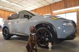 Used 2023 Nissan Rogue SV w/ SV Premium B Package image 2
