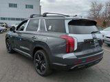 New 2025 Hyundai Palisade XRT image 5