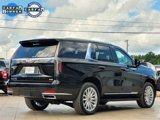 Used 2022 Cadillac Escalade Luxury w/ LPO, Illumination Package image 4