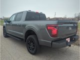New 2025 Ford F150 XLT image 5