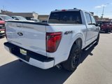 New 2025 Ford F150 XLT w/ Equipment Group 302A MID image 3
