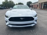 Used 2022 Ford Mustang Premium image 2