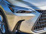 New 2026 Lexus NX 350 AWD w/ Luxury Package image 5