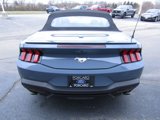 Used 2024 Ford Mustang Premium image 6