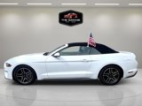 Used 2019 Ford Mustang Premium image 5