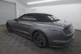 Used 2021 Ford Mustang GT Premium w/ Equipment Group 401A image 4