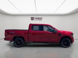 New 2025 Ford F150 XLT image 2