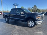 New 2025 Ford F150 XL w/ Equipment Group 103A High image 5