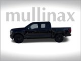 New 2025 Ford F150 Platinum image 2