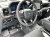 New 2025 Ford F150 XL image 4