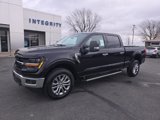 New 2024 Ford F150 XLT w/ Equipment Group 303A High image 2
