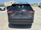 Used 2024 Toyota RAV4 XLE Premium image 4
