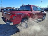 New 2025 Ford F150 XLT w/ Equipment Group 301A Standard image 3