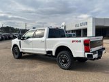 New 2025 Ford F250 Platinum image 2