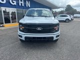 New 2025 Ford F150 XLT w/ Equipment Group 302A MID image 2