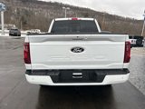 New 2025 Ford F150 XLT w/ Equipment Group 302A MID image 6
