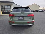 Used 2023 Audi Q5 2.0T Premium Plus image 4