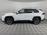 Certified 2023 Toyota RAV4 XLE Premium image 4