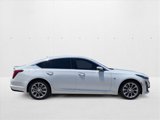 Used 2022 Cadillac CT5 Premium Luxury w/ Climate Package image 4