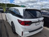 New 2025 Honda Odyssey Elite image 4
