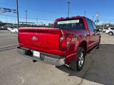 New 2025 Ford F150 XLT w/ Equipment Group 302A MID image 5