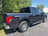 New 2025 Ford F150 XLT w/ Equipment Group 302A MID image 5