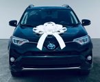 Used 2017 Toyota RAV4 Limited image 2