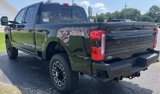 New 2025 Ford F250 Platinum image 6
