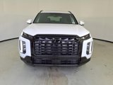 New 2025 Hyundai Palisade Calligraphy image 2
