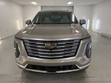 Used 2025 Cadillac Escalade Premium Luxury Platinum w/ LPO, Floor Liner Package image 2