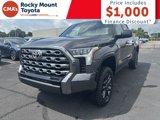 New 2025 Toyota Tundra Platinum image 3