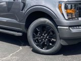 Certified 2023 Ford F150 XLT w/ Equipment Group 302A High image 3