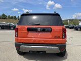 New 2026 Honda Passport TrailSport Elite image 4