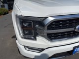Certified 2023 Ford F150 Platinum image 6